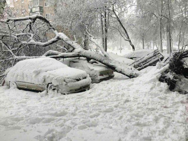 Снігопади в Україні призвели до транспортного колапсу 