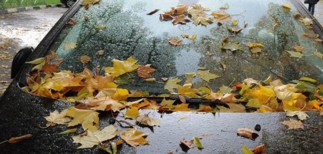 Готовимся к  осени: как защитить автомобиль от дождя
